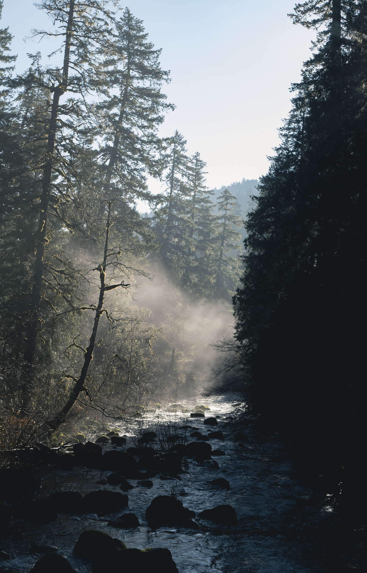misty river bend