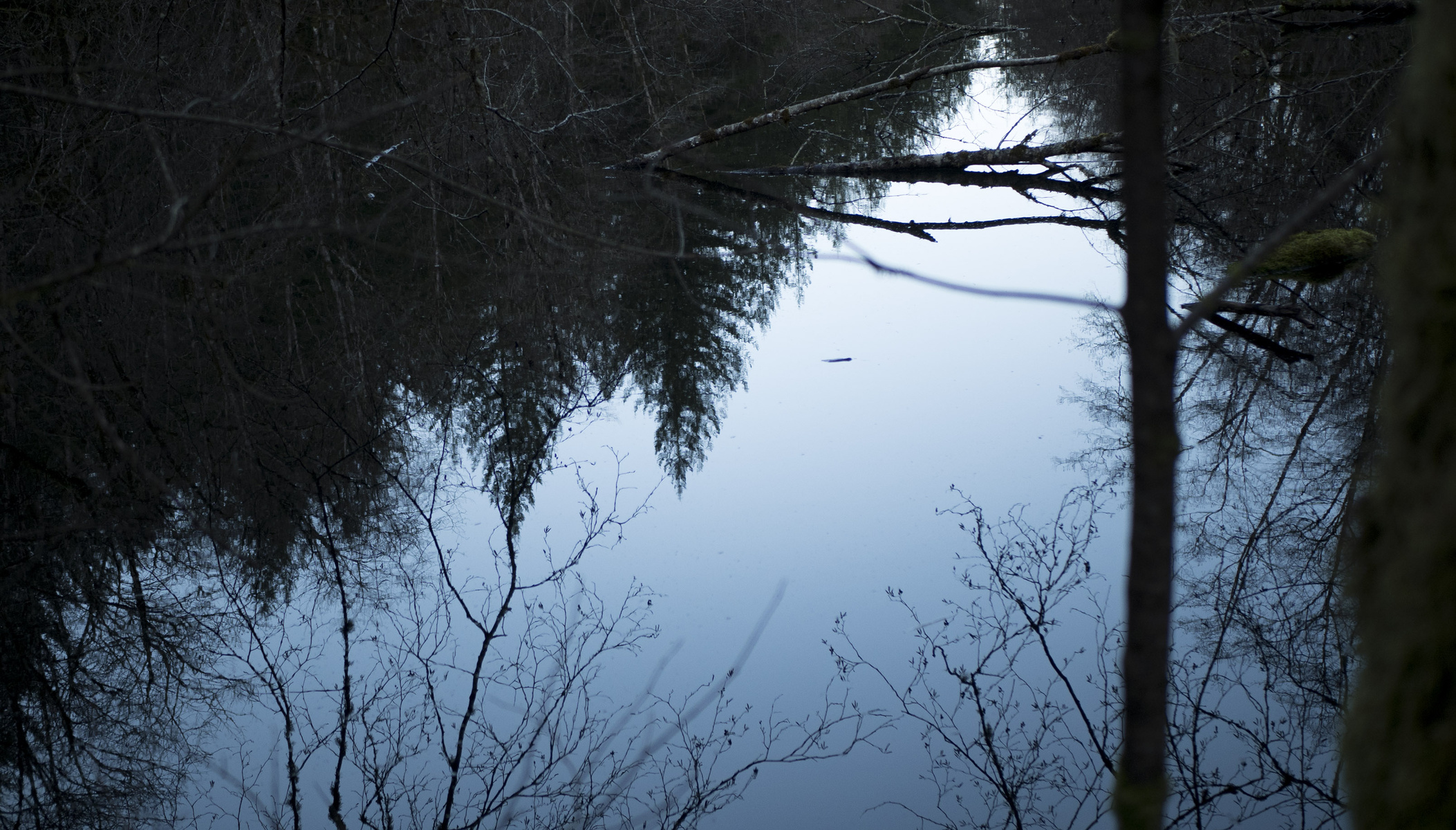lakeside reflection